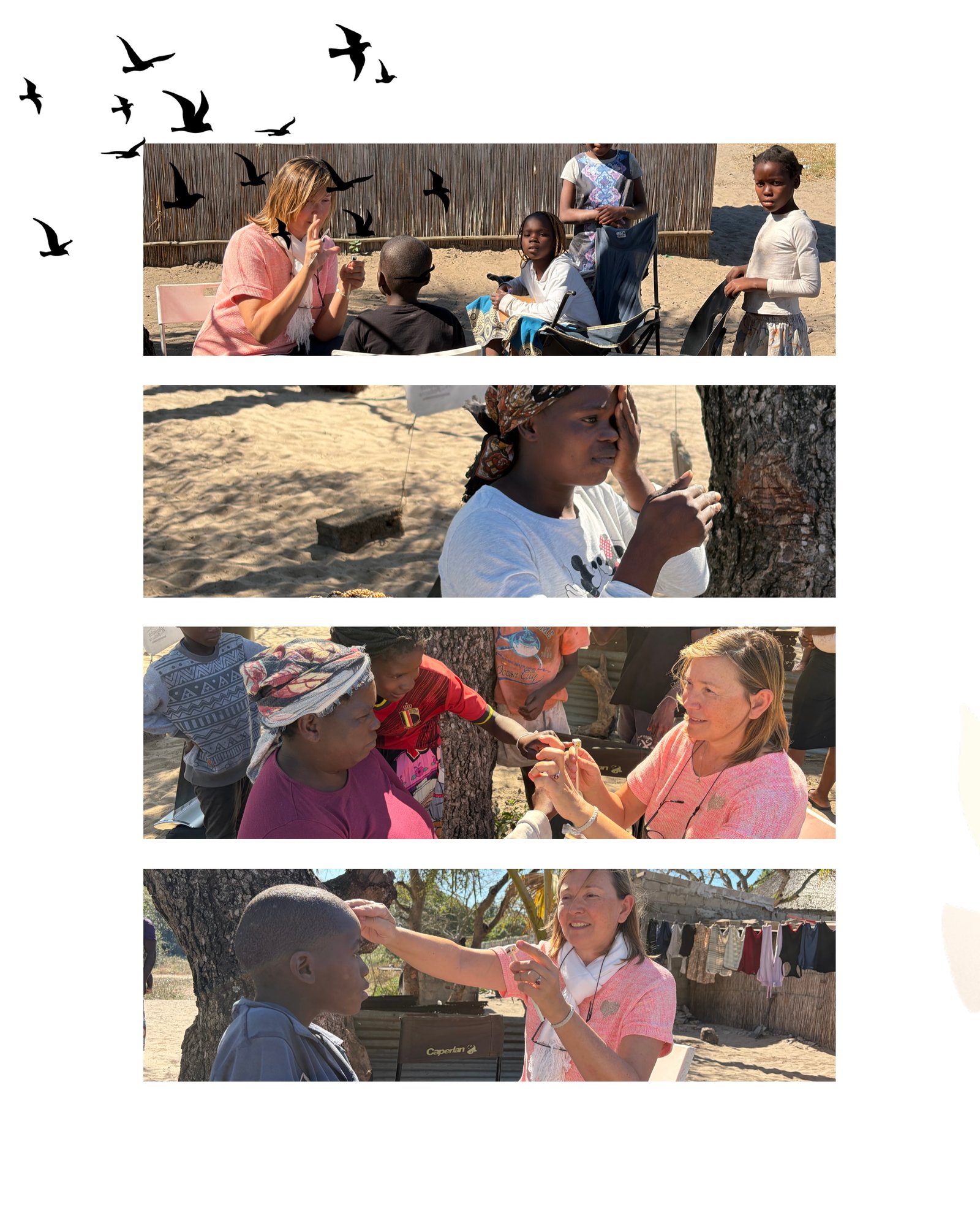 Mission humanitaire veeztraining au Mozambique, région de Maputo